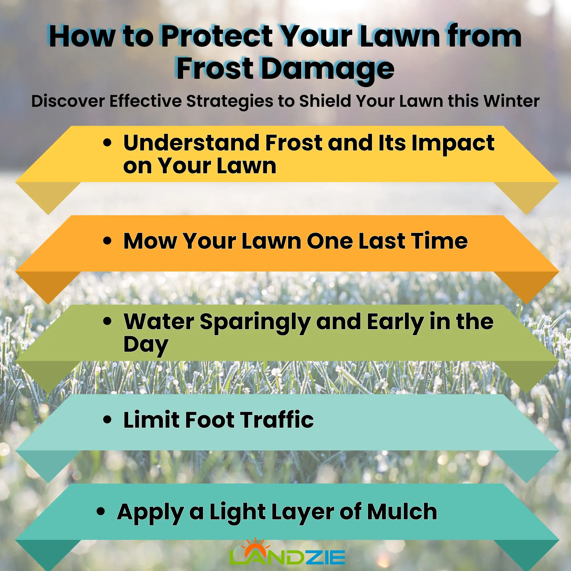 How to Protect Your Lawn from Frost Damage: Discover Effective Strategies to Shield Your Lawn this Winter