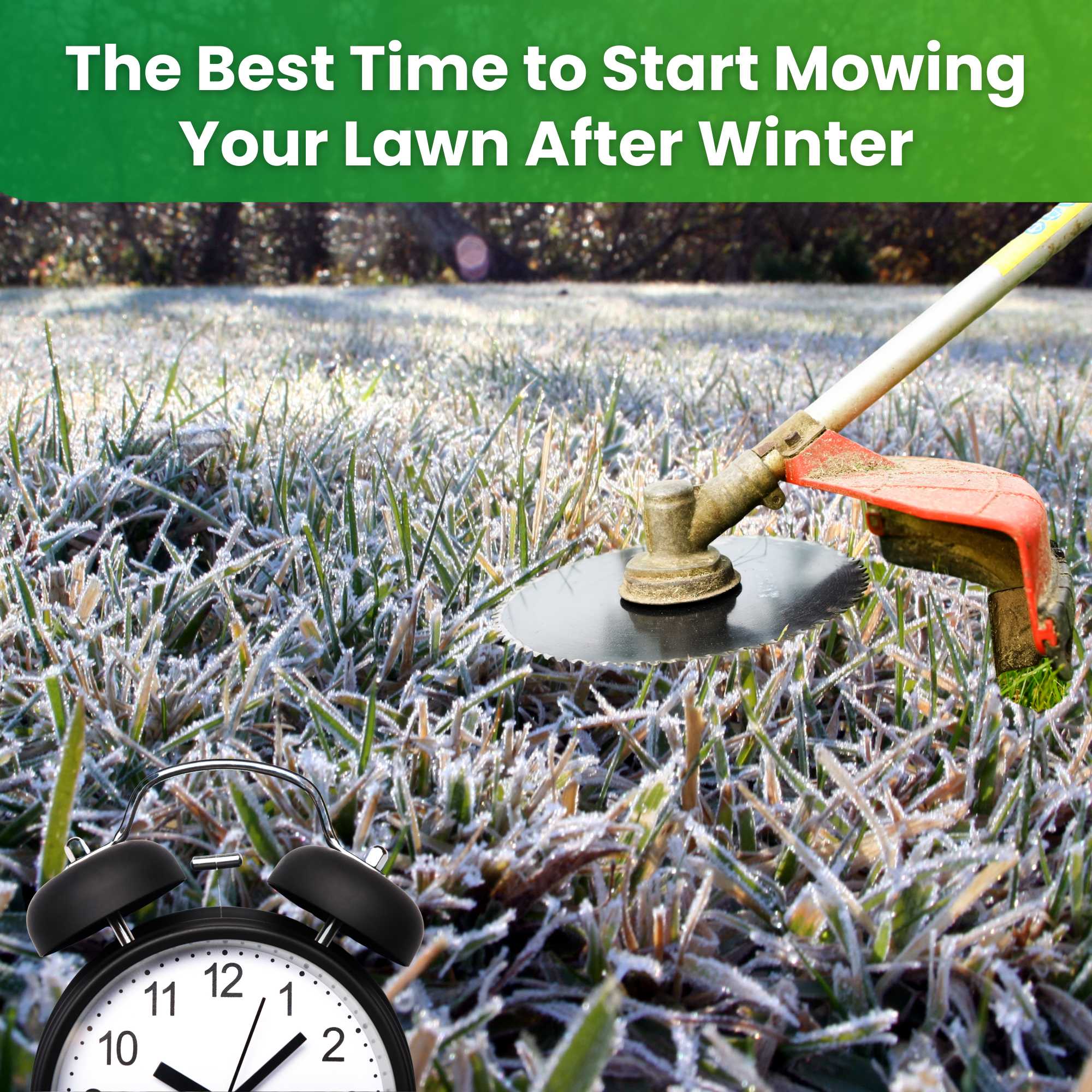 Mowing Your Lawn: A Deeper Look At The Science - wa31306