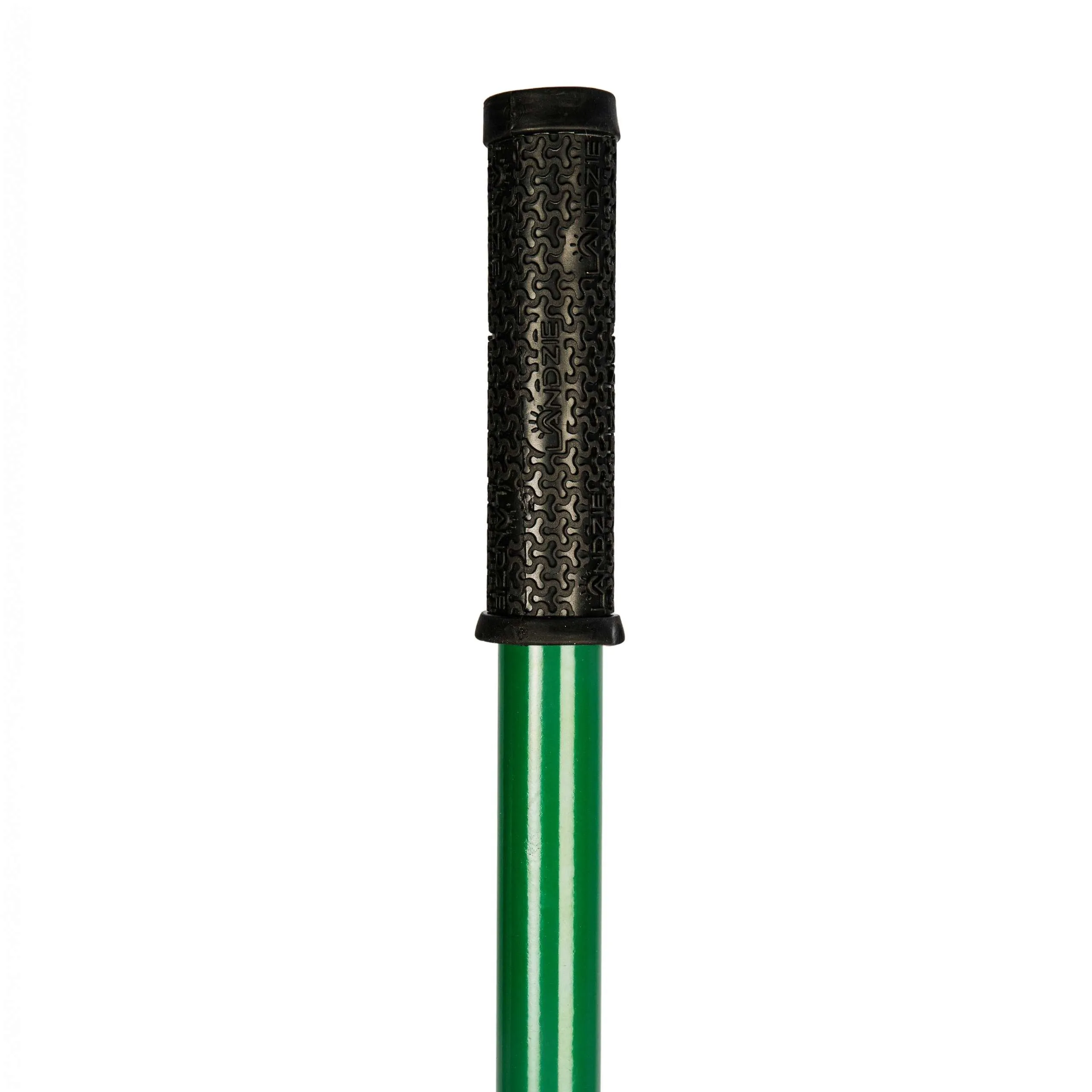 Landzie Overseeder Tool - Image 6