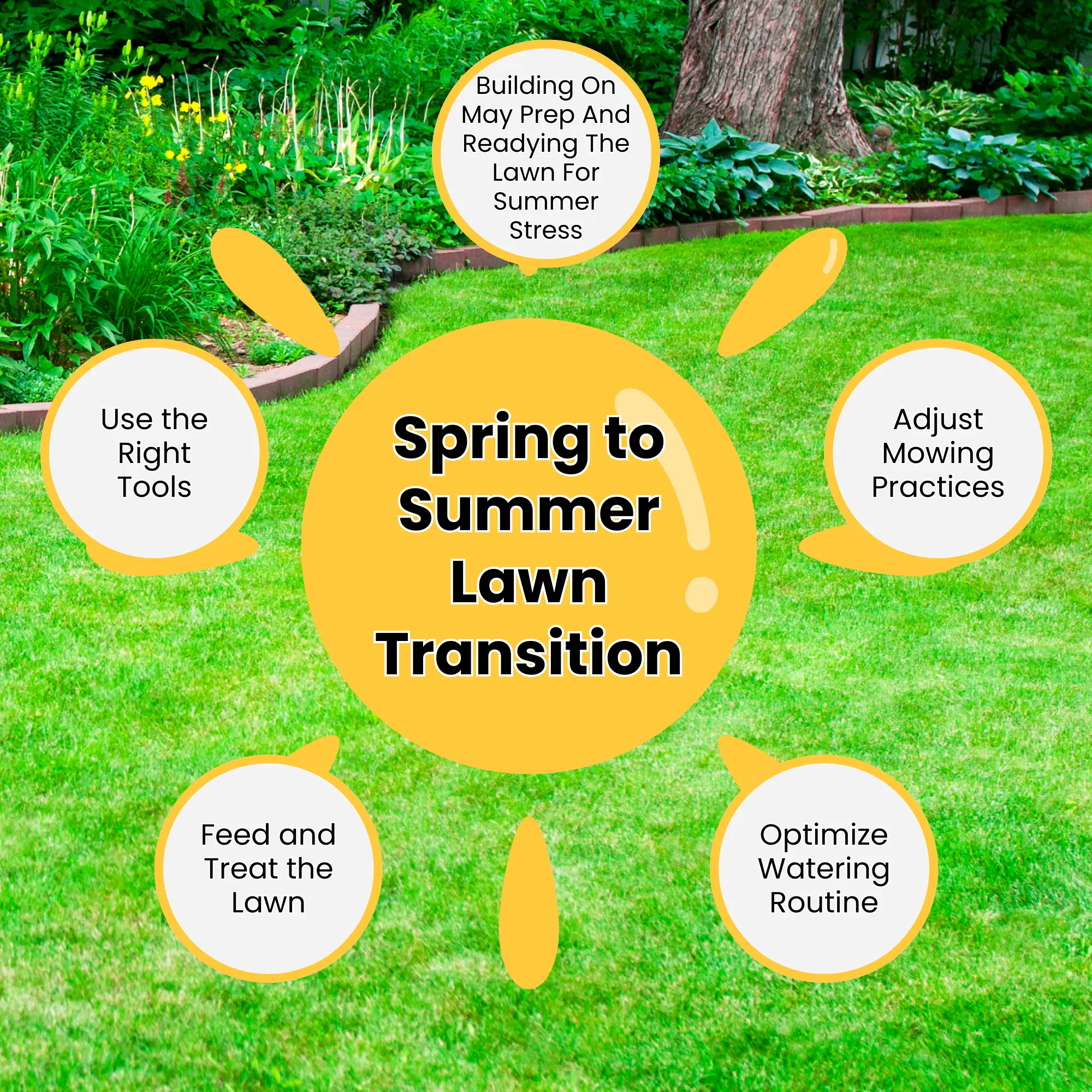 Spring to Summer Lawn Transition