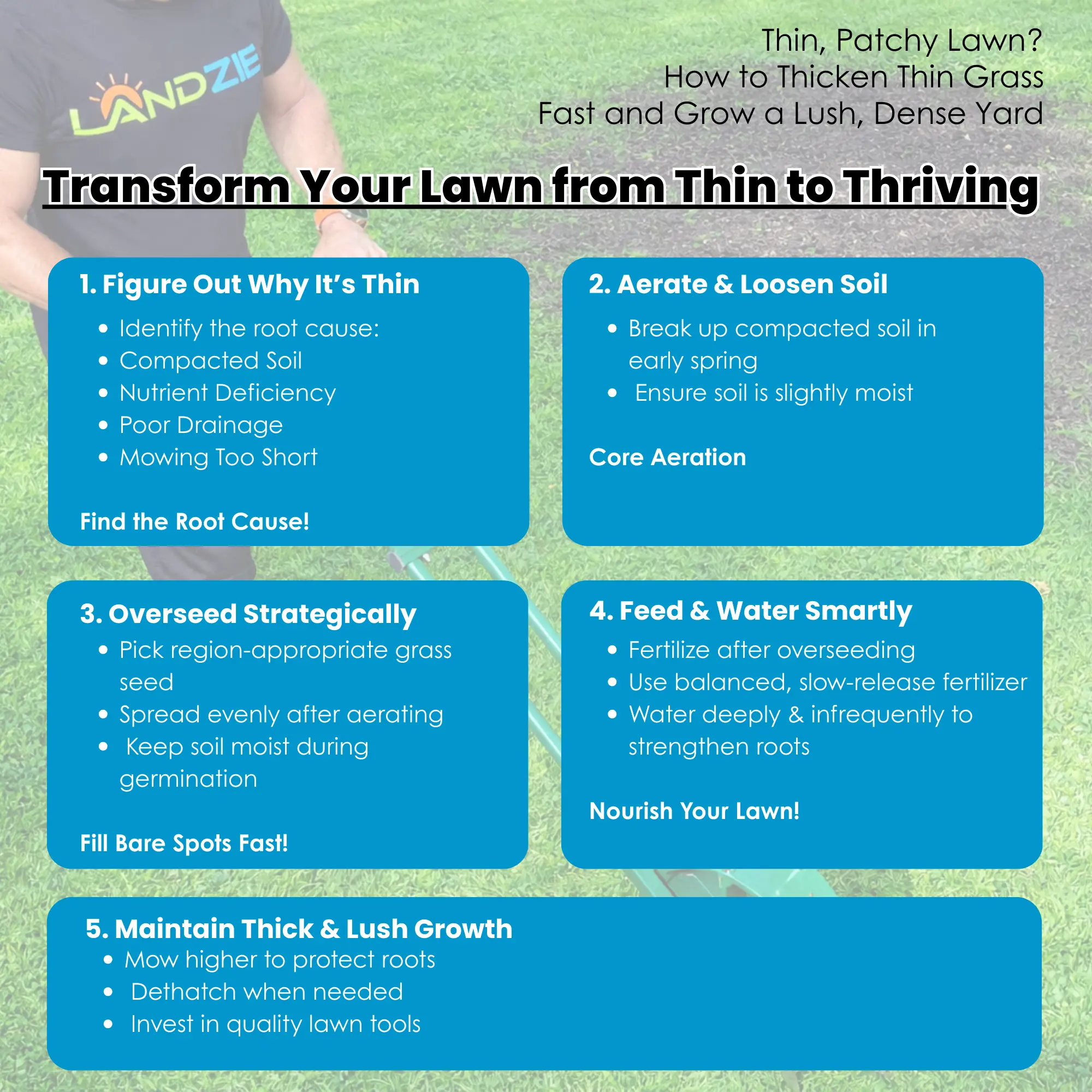 Thin, Patchy Lawn? How to Thicken Thin Grass Fast and Grow a Lush, Dense Yard Transform Your Lawn from Thin to Thriving