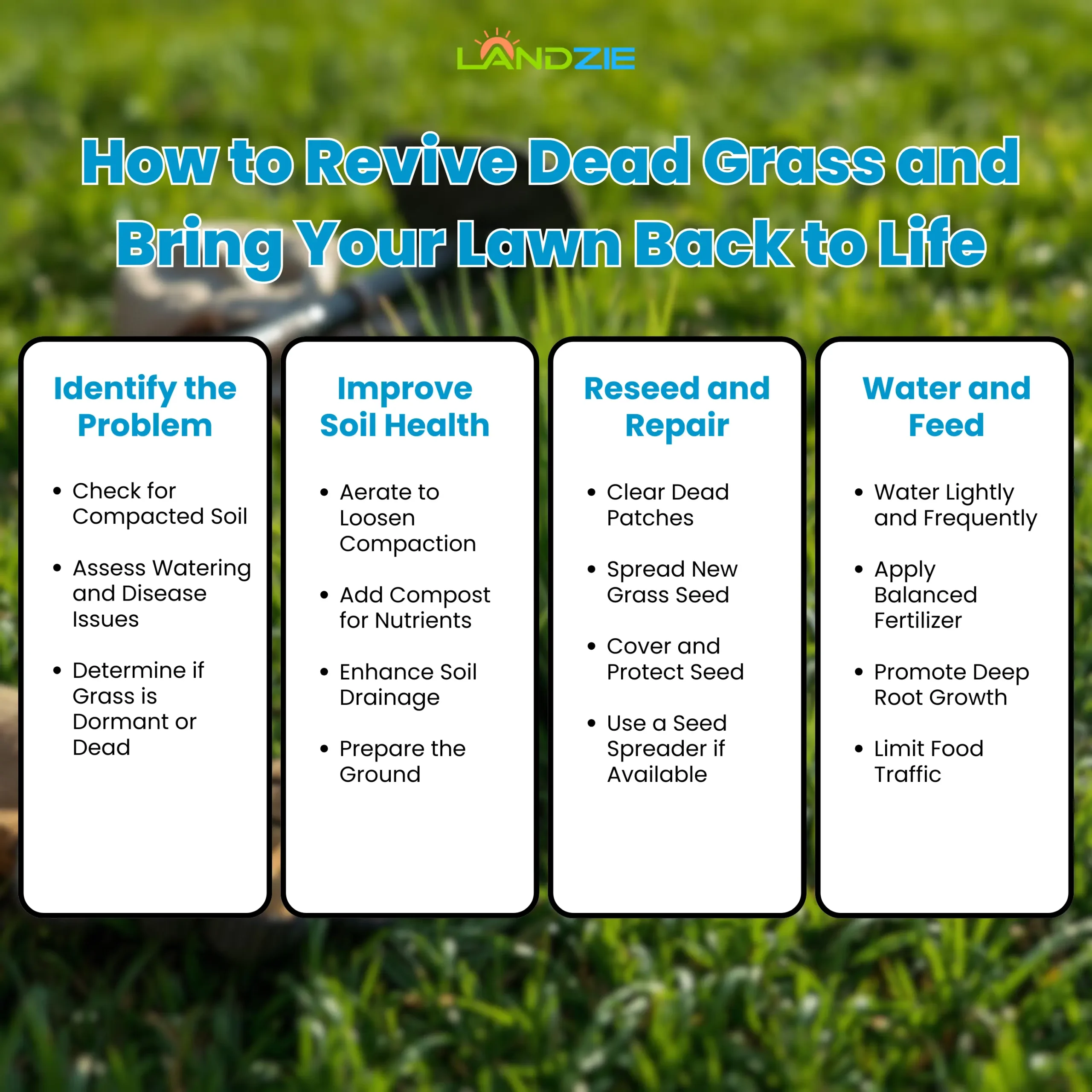 How to Revive Dead Grass and Bring Your Lawn Back to Life - Landzie