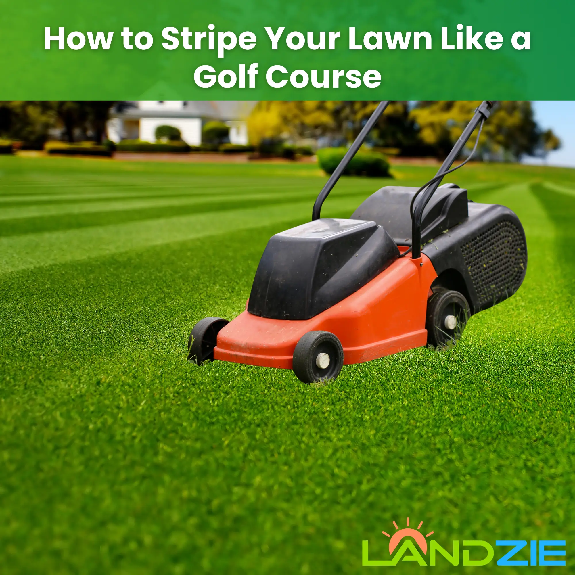 How to Stripe Your Lawn Like a Golf Course