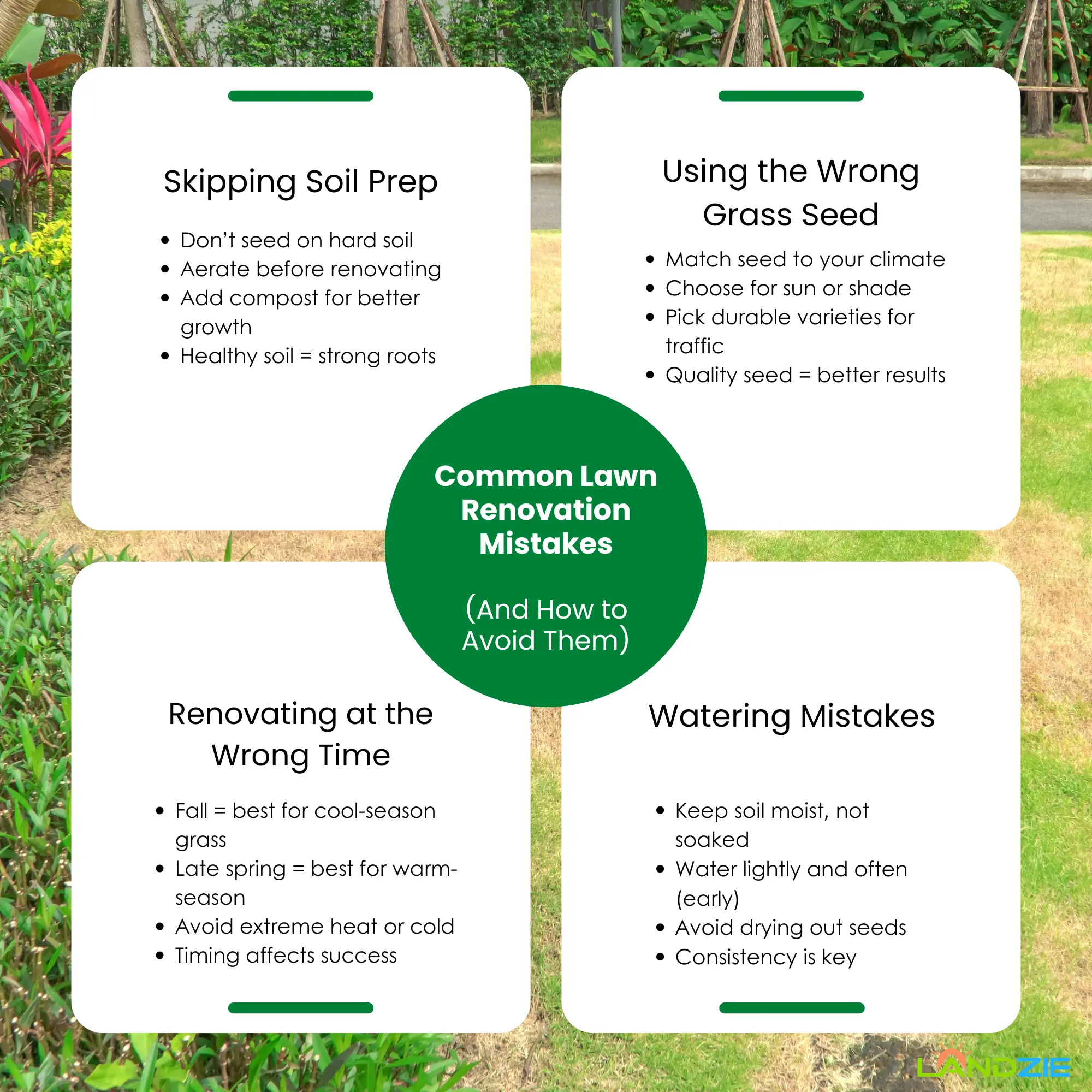 Common Lawn Renovation Mistakes (And How to Avoid Them)