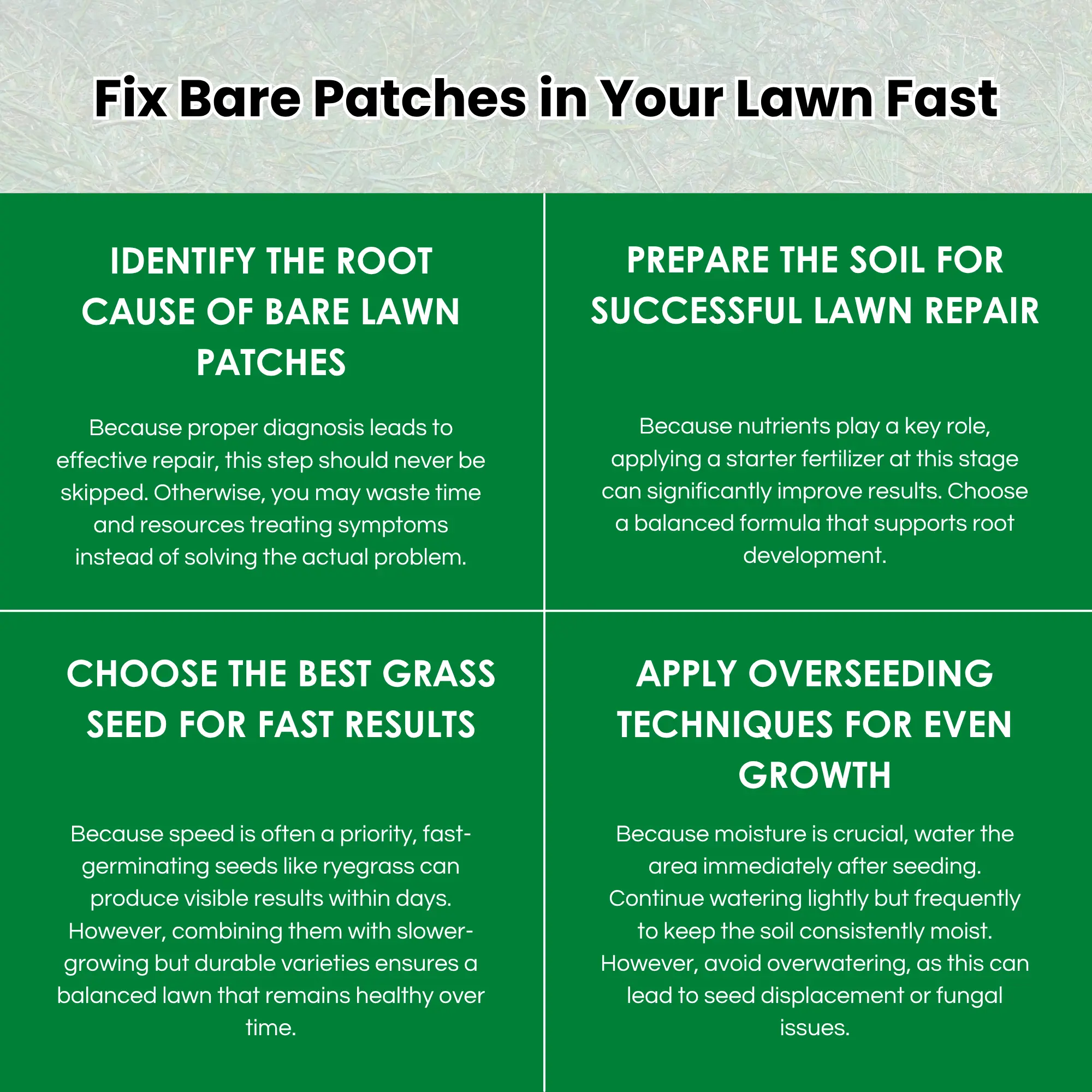 Fix Bare Patches in Your Lawn Fast