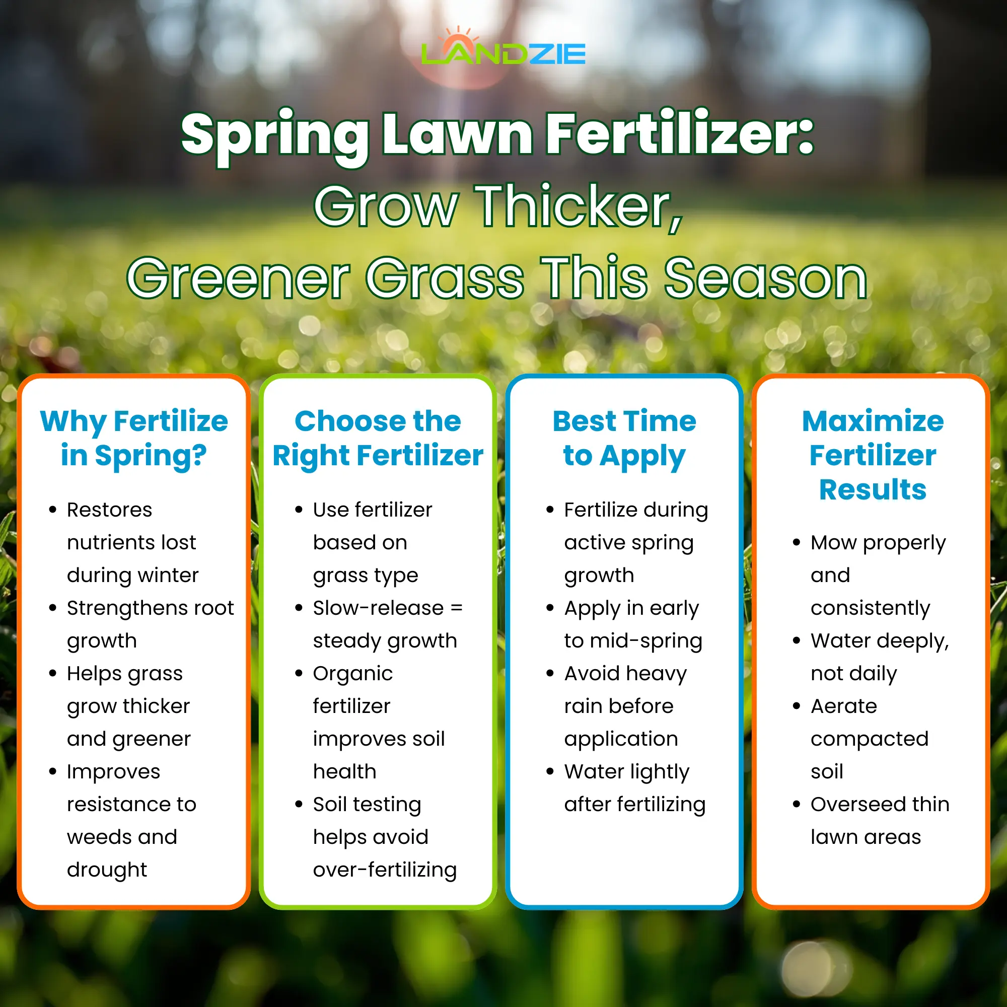 Spring Lawn Fertilizer Grow Thicker, Greener Grass This Season