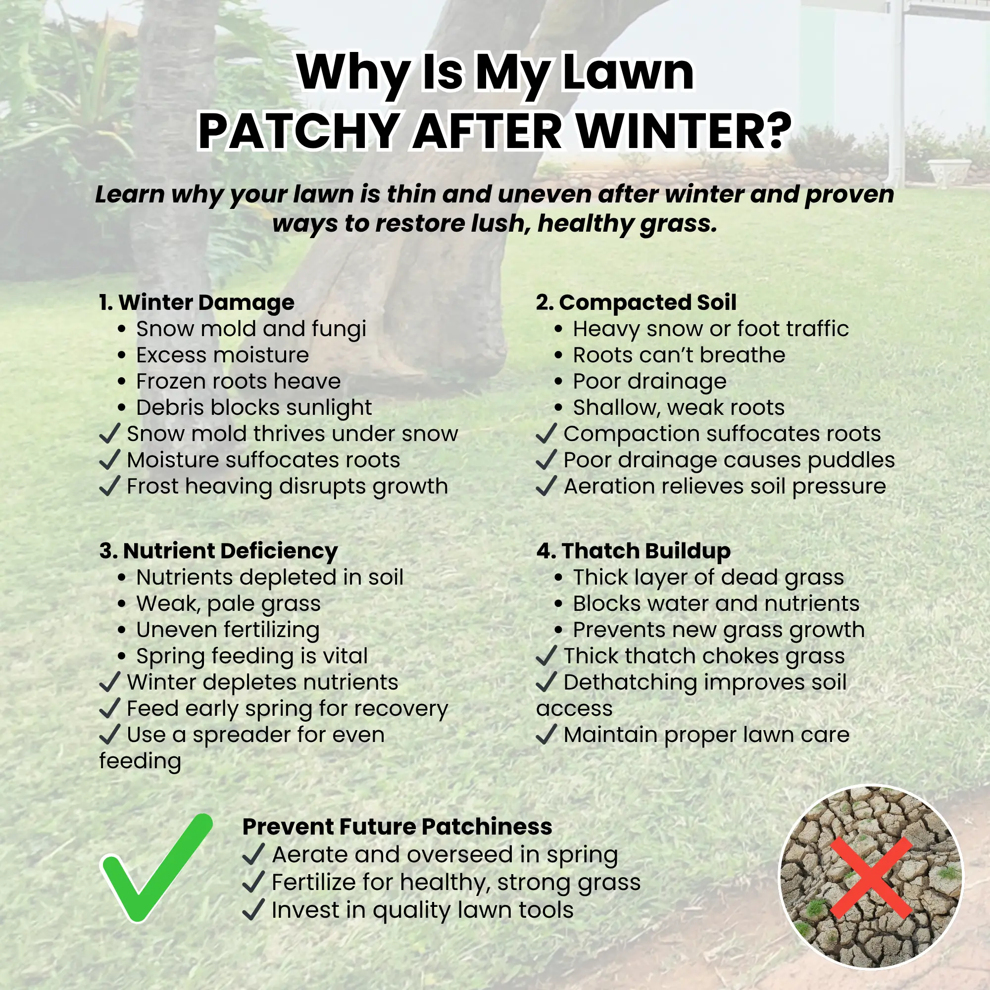 Can You Apply Damp Fertilizer Or Will It Ruin Your Spreader?