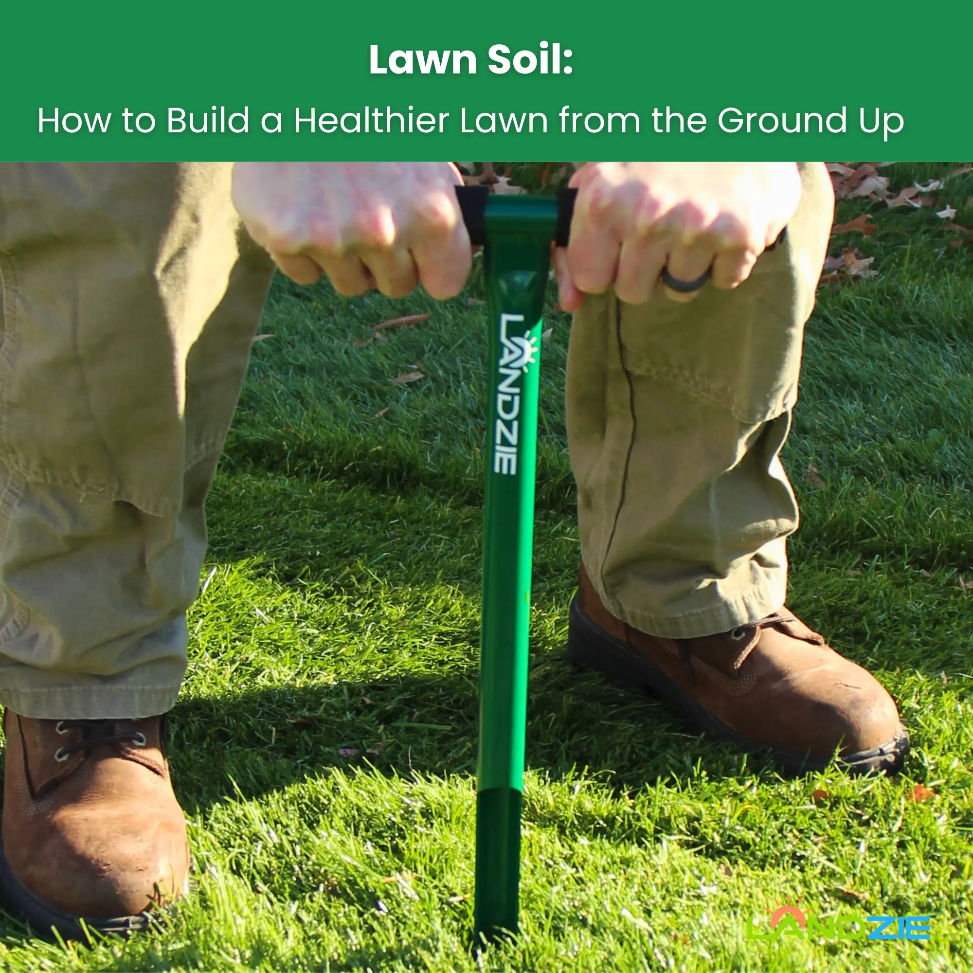 Lawn Soil How to Build a Healthier Lawn from the Ground Up