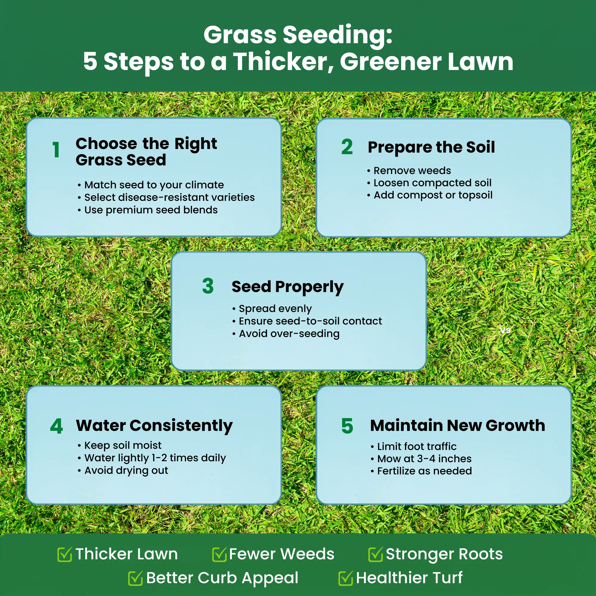 Grass Seeding