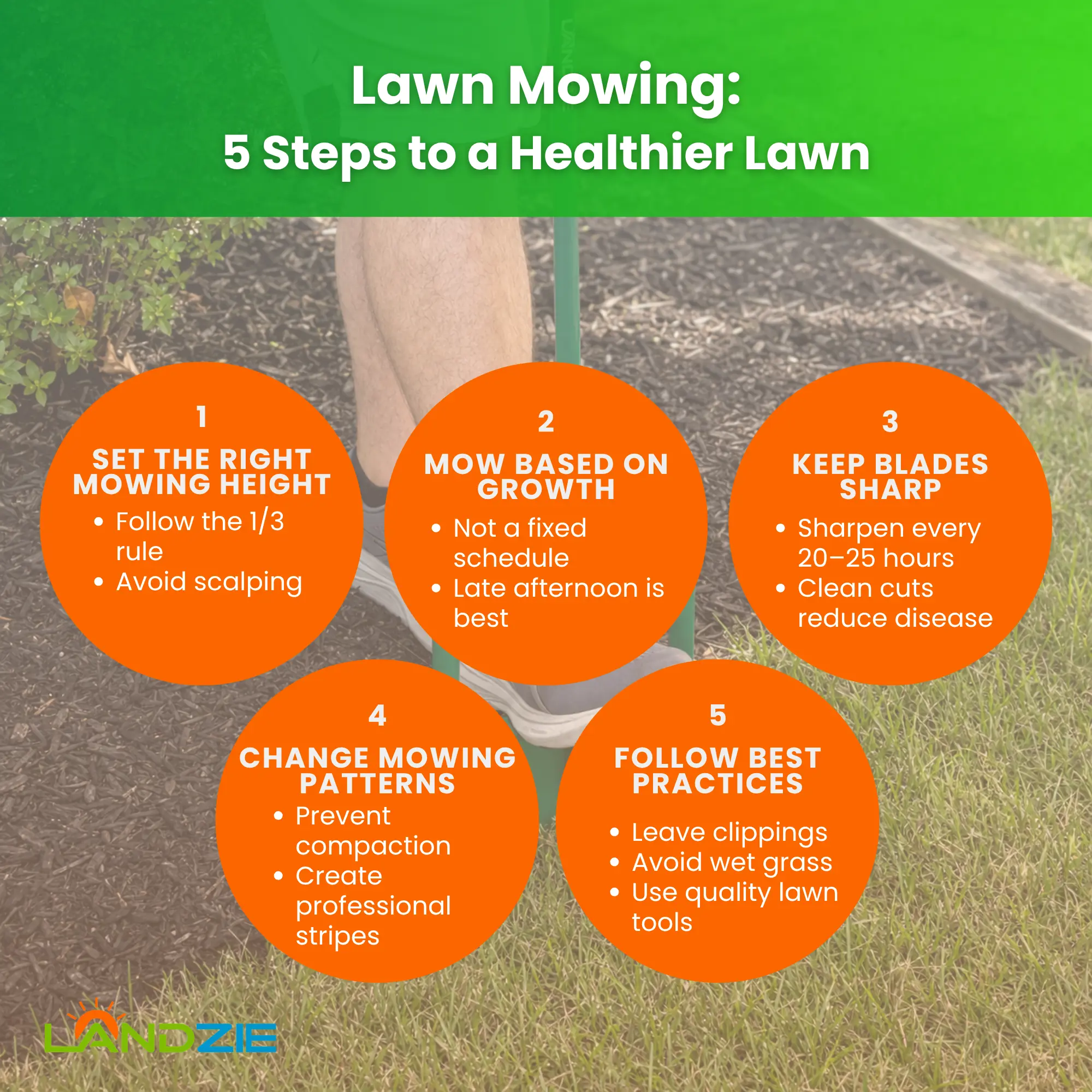 Lawn Mowing: 5 Steps to a Healthier Lawn