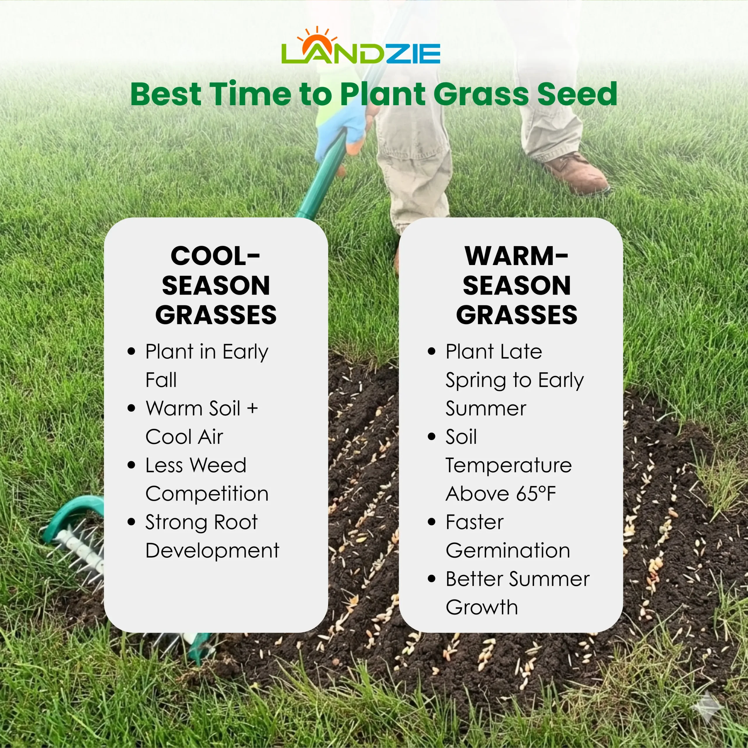 BEST TIME TO PLANT GRASS SEED Soil Mulching