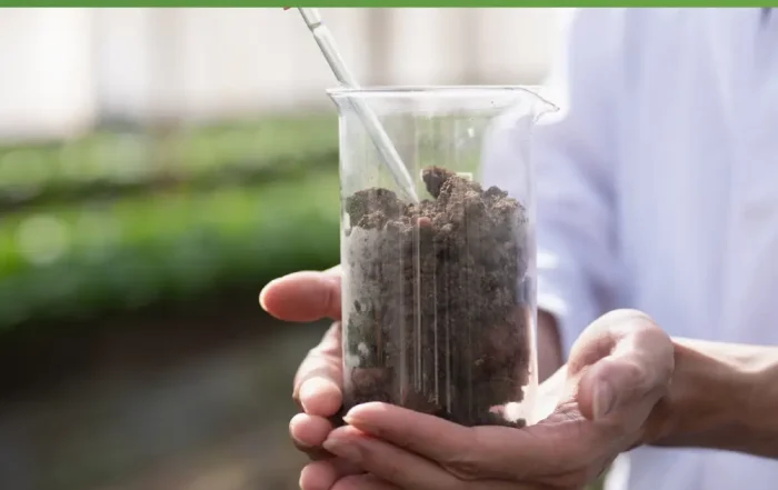 Soil Compaction: The Checkup for Stronger Fall Lawn Success