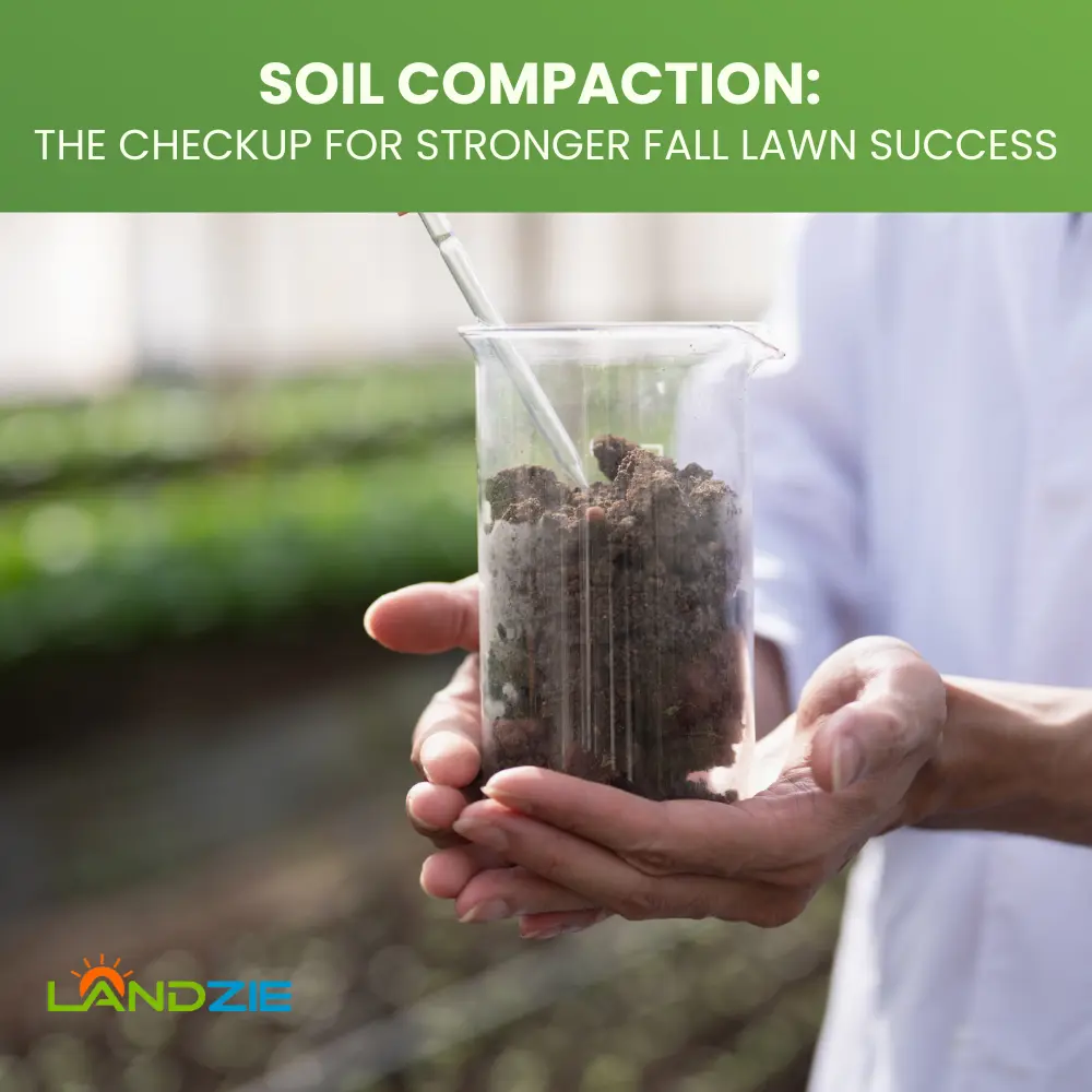 Soil Compaction: The Checkup for Stronger Fall Lawn Success